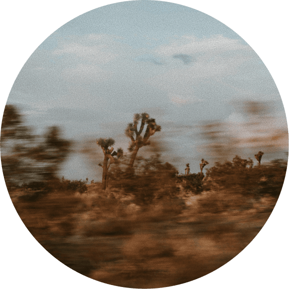Joshua trees and desert scrub blurred by motion, seen from a moving car